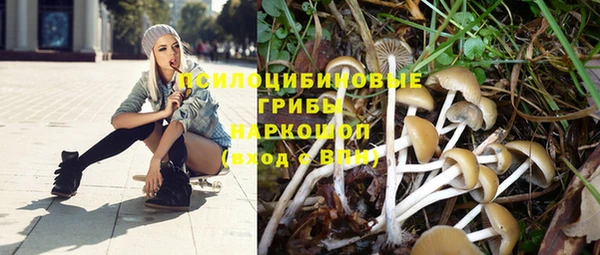 тгк Балабаново