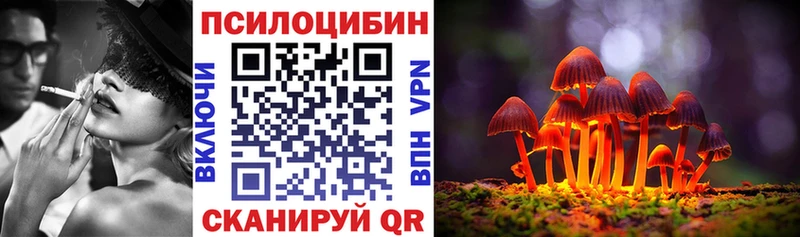 где можно купить   Усть-Кут  OMG сайт  Галлюциногенные грибы Psilocybine cubensis 